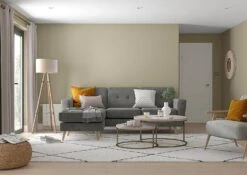 Dulux Matt Emulsion 2.5L - Overtly Olive -Taskers Sale Shop 50141602 DULUXVM2.5LOVERTLYOLIVE3