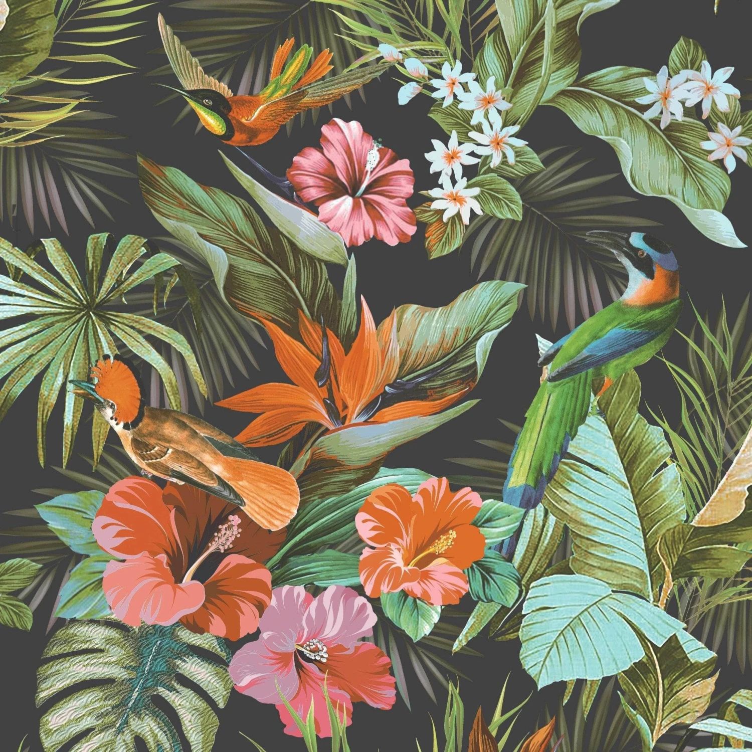 Rasch Paradise Birds Black & Multicoloured Wallpaper 539059 4 Rasch Paradise Birds Black & Multicoloured Wallpaper 539059 - Image 2