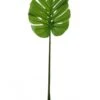 Large Monstera Stem - Green 2 Large Monstera Stem - Green -Taskers Sale Shop 60005666 LOTUS102639LARGEMONSTERASTEMN.GREEN