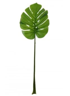 Large Monstera Stem - Green