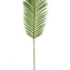 Tropical Fern Leaf 2 Tropical Fern Leaf -Taskers Sale Shop 60005667 LOTUS102642LARGETROPICALFERNLEAFNATURALGREEN