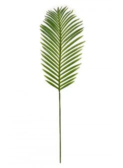 Tropical Fern Leaf