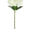Silk Giant Hydrangea Stem - Ivory 1 Silk Giant Hydrangea Stem - Ivory -Taskers Sale Shop 60005687