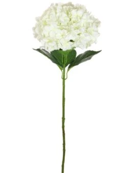Silk Giant Hydrangea Stem - Ivory