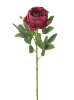 Silk Millicent Peony - Magenta