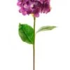 Silk Mophead Hydrangea - Aubergine 1 Silk Mophead Hydrangea - Aubergine -Taskers Sale Shop 60005699