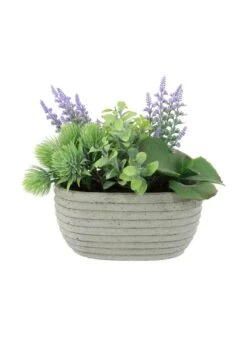 Tropical Thistle & Hedge Arrangement