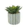 Panda Plant Succulent Arrangement 2 Panda Plant Succulent Arrangement -Taskers Sale Shop 60005729