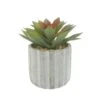 Panda Plant Succulent Arrangement - Orange & Green -Taskers Sale Shop 60005730