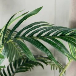 Artificial Palm Tree - 190cm 8 Artificial Palm Tree - 190cm -Taskers Sale Shop Artificial Palm Tree 190cm 1