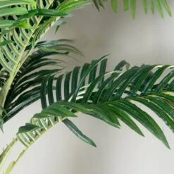Artificial Palm Tree - 210cm 8 Artificial Palm Tree - 210cm -Taskers Sale Shop Artificial Palm Tree 210cm