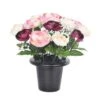 Beauty Ranunculus Grave Pot 25cm