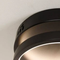 Hawaii LED 1 Ring Light - Black -Taskers Sale Shop Hawaii LED 1 Ring Light Black