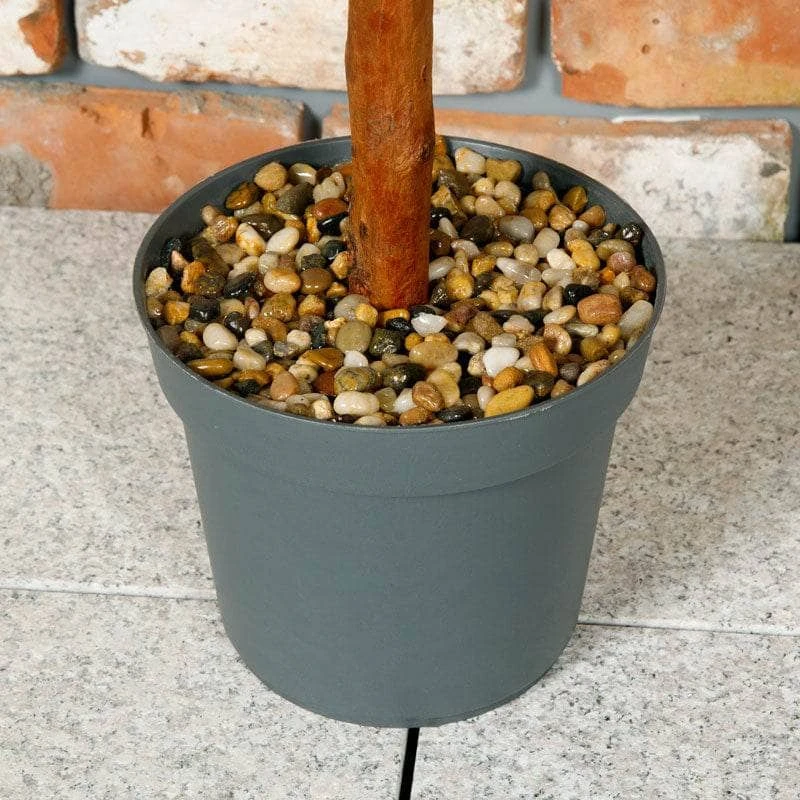 Uno Topiary Tree - 120cm 7 Uno Topiary Tree - 120cm - Image 5