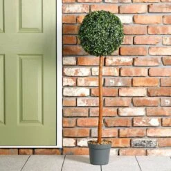 Uno Topiary Tree - 120cm 10 Uno Topiary Tree - 120cm -Taskers Sale Shop IMG 3708