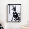 Paris Glamour Dog Framed Picture - 30 X 40cm 2 Paris Glamour Dog Framed Picture - 30 X 40cm -Taskers Sale Shop IMG 6365