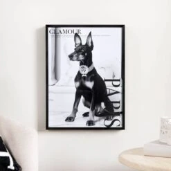 Paris Glamour Dog Framed Picture - 30 X 40cm