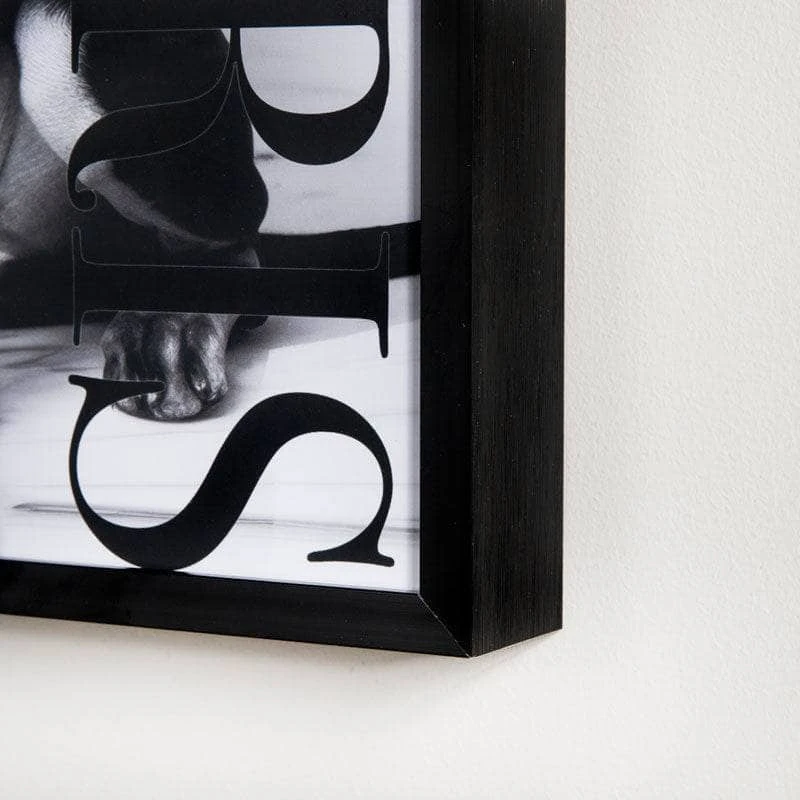 Paris Glamour Dog Framed Picture - 30 X 40cm 6 Paris Glamour Dog Framed Picture - 30 X 40cm - Image 4