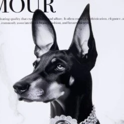 Paris Glamour Dog Framed Picture - 30 X 40cm 8 Paris Glamour Dog Framed Picture - 30 X 40cm -Taskers Sale Shop IMG 6369