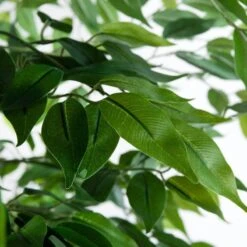 Artificial Ficus Tree- 210cm 9 Artificial Ficus Tree- 210cm -Taskers Sale Shop IMG 8483