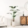 Artificial Travel Banana Tree - 160cm -Taskers Sale Shop IMG 8563