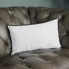 Grey Beaded Cushion - 50 X 30cm -Taskers Sale Shop Ivory Beaded Cushion 50 x 30cm 3