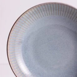 Reactive Linear Grey Pasta Bowl - 23cm 12 Reactive Linear Grey Pasta Bowl - 23cm -Taskers Sale Shop Mason Cash Reactive Linear Grey Pasta Bowl 2002.262 2