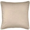 Oxford Cushion - Cream 2 Oxford Cushion - Cream -Taskers Sale Shop OXFORDCREAMCUSHION