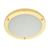 Pierre Shiny Brass Ceiling Light -Taskers Sale Shop Pierre Shiny Brass Ceiling Light