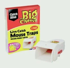 Big Cheese Mouse Trap Live Catch