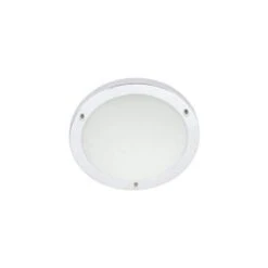 Delphi Large Cool White Led Flush Ceiling Light
