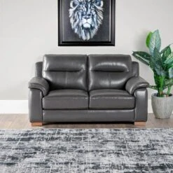Comfort King Detroit 2 Seater Sofa