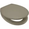 Euroshowers Rainbow Mushroom Soft Close Toilet Seat