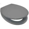 Euroshowers Rainbow Softclose Grey Toilet Seat