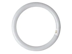 Eveready 40W T9 Circular Bulb