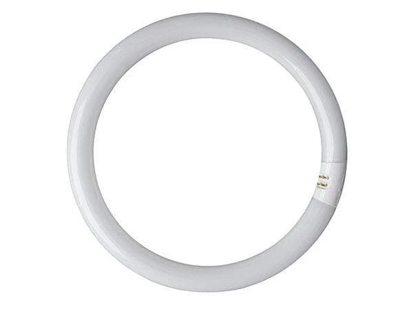 Eveready 40W T9 Circular Bulb 3 Eveready 40W T9 Circular Bulb