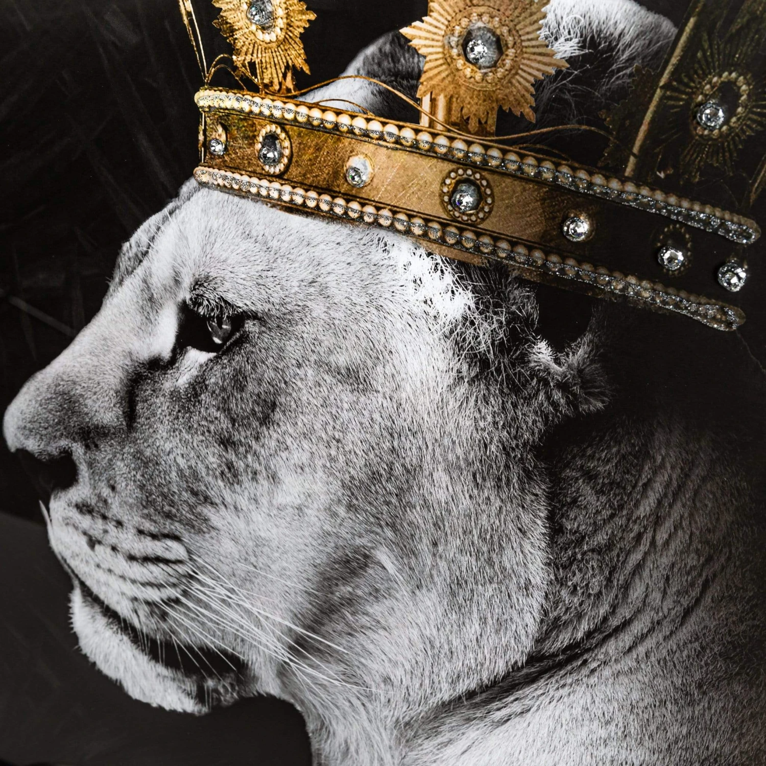 Lion And Lioness Picture And Frame 4 Lion And Lioness Picture And Frame - Image 2