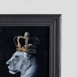 Lion Queen Small Framed Picture 55 X 55cm 7 Lion Queen Small Framed Picture 55 X 55cm -Taskers Sale Shop lion queen small framed picture shh 5555 lion queen l met 15532758827094