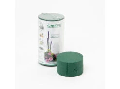 Oasis 8X5Cm Ideal Floral Foam Maxlife Cylinder Green