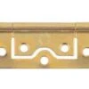 Select Flush Hinges Electro Brass 60Mm -Taskers Sale Shop select flush hinges electro brass 60mm select flush hinge 60mm pr 14439479771222