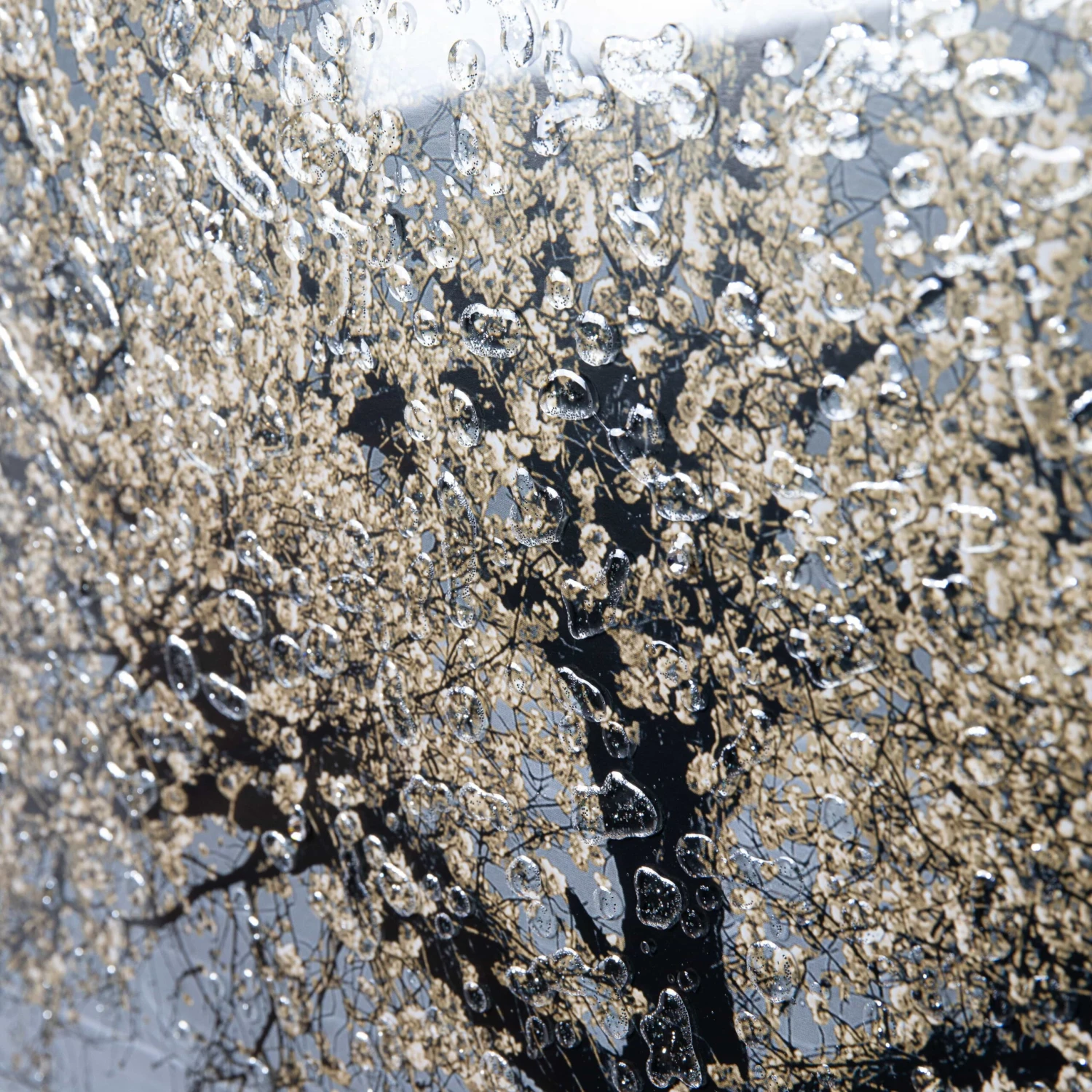 Shh Champagne Cherry Tree Framed Picture 4 Shh Champagne Cherry Tree Framed Picture - Image 2