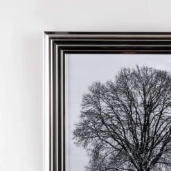 Shh Chrome Winter Tree Framed Picture 6868 7 Shh Chrome Winter Tree Framed Picture 6868 -Taskers Sale Shop shh chrome winter tree framed picture 6868 shh 6868 winter tree chr 28350106599510