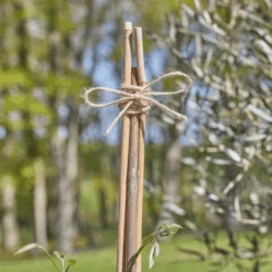 Smart 8811001 Garden&Home Twine Nat 250G