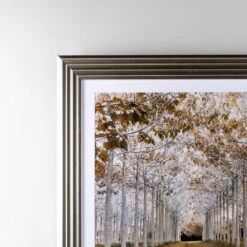 White & Gold Autumn Forest Wall Art 9 White & Gold Autumn Forest Wall Art -Taskers Sale Shop white gold autumn forest wall art shh 9090 whitegold wm sil 28791484317782