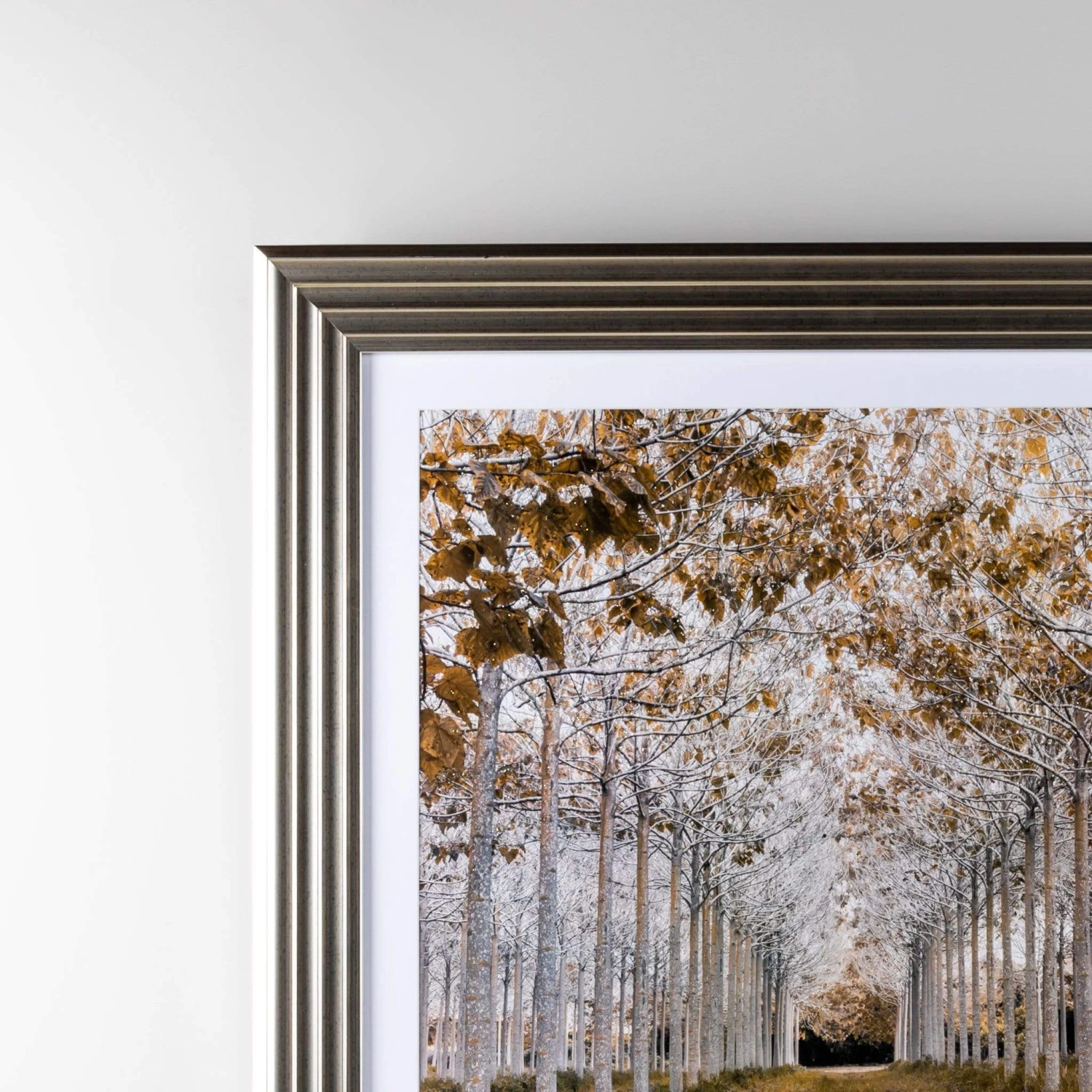 White & Gold Autumn Forest Wall Art 6 White & Gold Autumn Forest Wall Art - Image 4