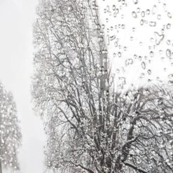 Winter Tree Framed Picture - 114cm X 74cm 13 Winter Tree Framed Picture - 114cm X 74cm -Taskers Sale Shop winter tree picture shh 11474 winter tree chr 28350066720854