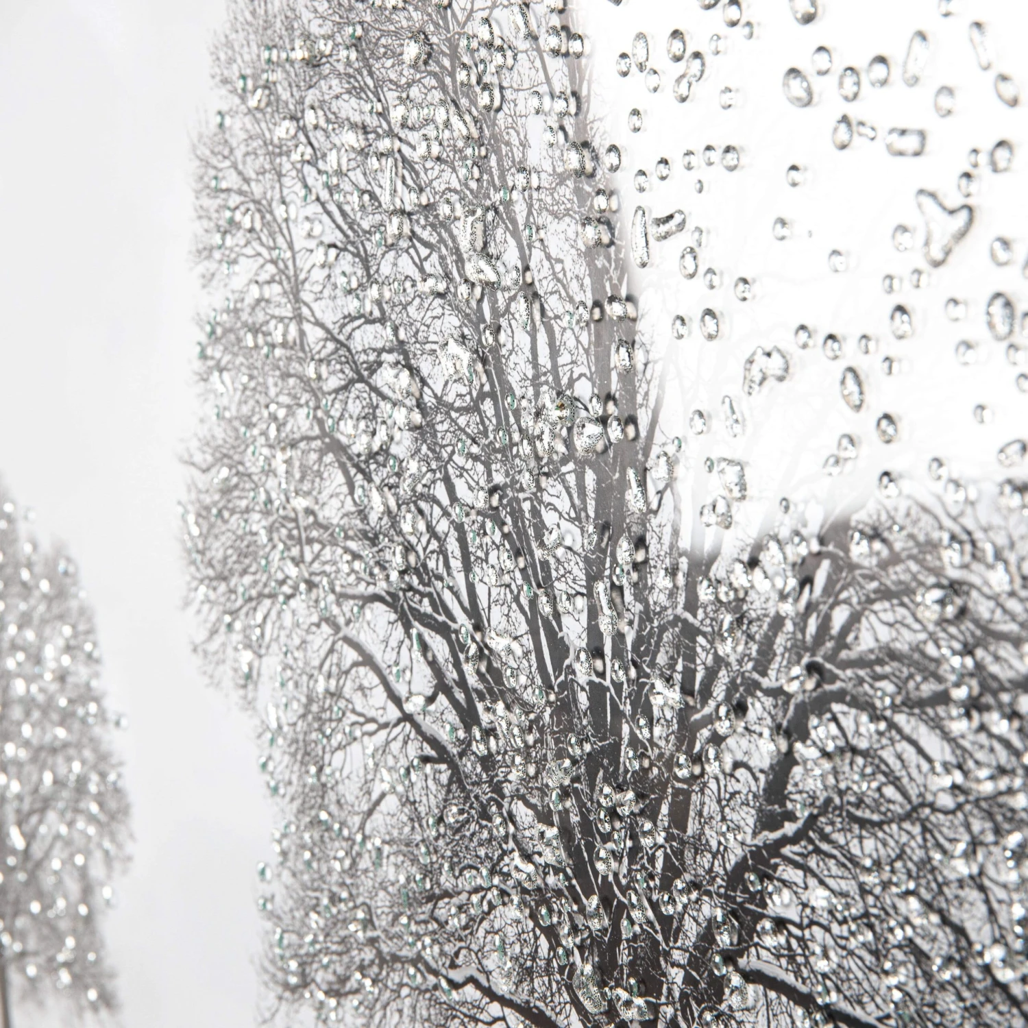 Winter Tree Framed Picture - 114cm X 74cm 8 Winter Tree Framed Picture - 114cm X 74cm - Image 6